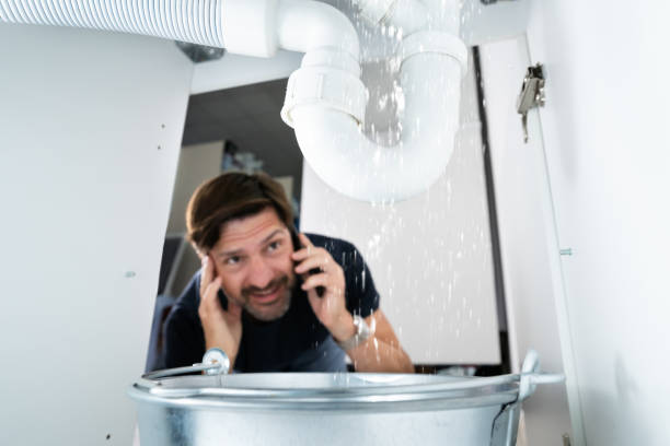 Best Local Plumber Services  in Ravenel, SC