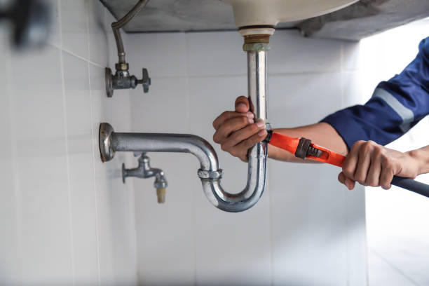 Best Same-Day Plumbing Service  in Ravenel, SC