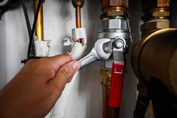 Best Emergency Plumber  in Ravenel, SC